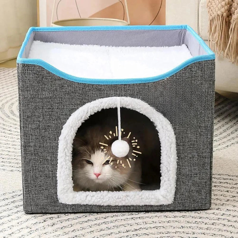 Cat Cube